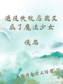 退役失败后我又成了魔法少女
