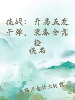 抗战:开局五发子弹,装备全靠捡